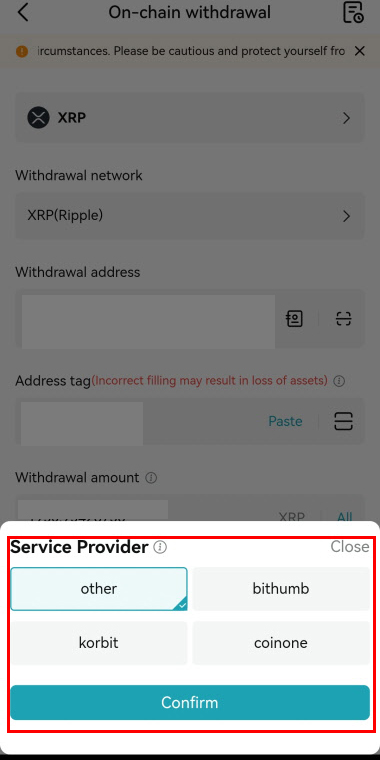 Service Provider