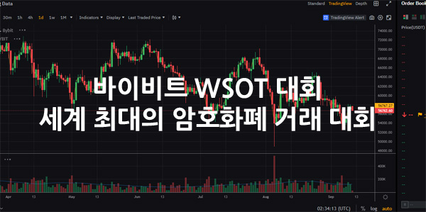 바이비트 WSOT 대회