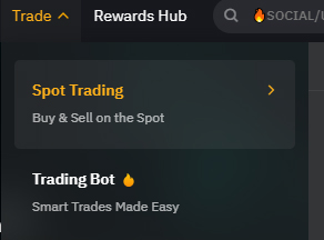 Bybit Spot Trading